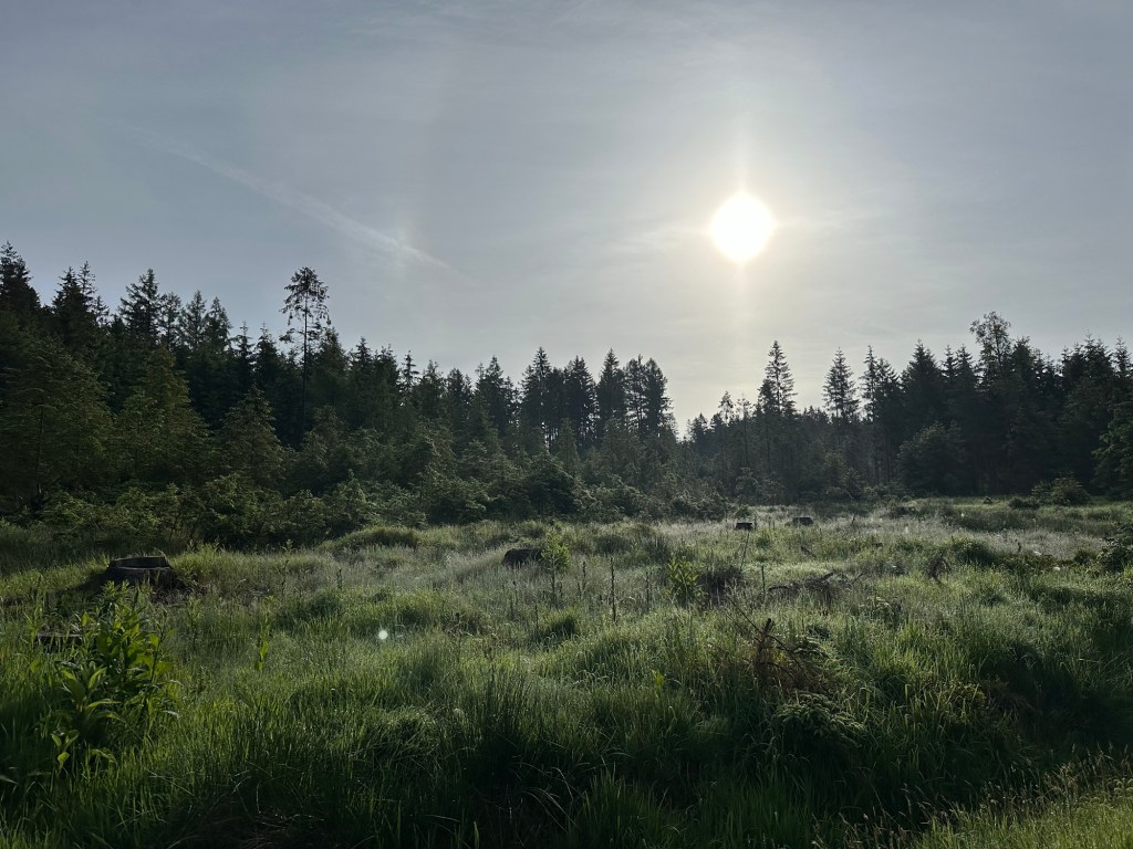 Stezka Českem den&nbsp;druhý