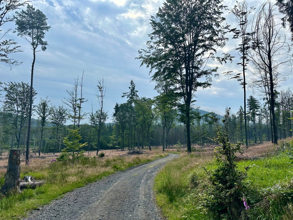 Stezka Českem den&nbsp;sedmnáctý