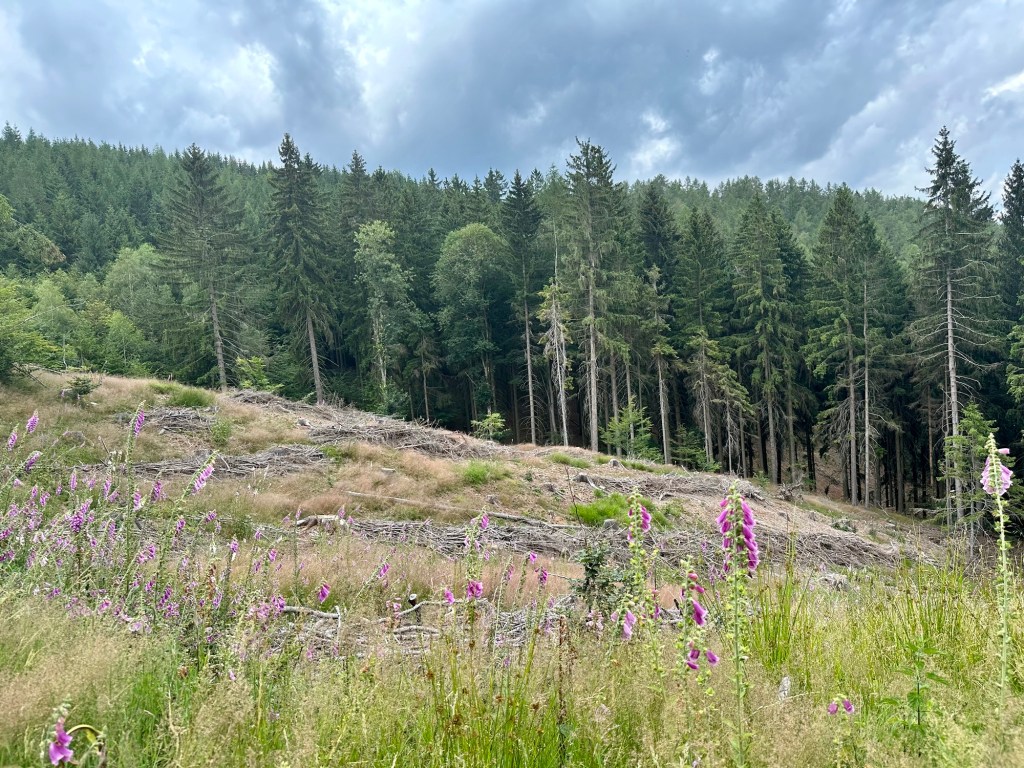 Stezka Českem den&nbsp;devatenáctý