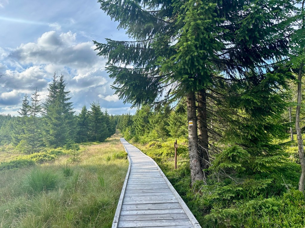 Stezka Českem den&nbsp;dvacátý