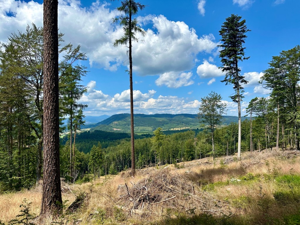 Stezka Českem den dvacátý&nbsp;pátý