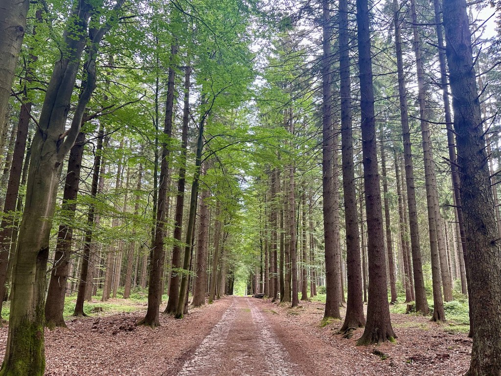 Stezka Českem den&nbsp;třicátý